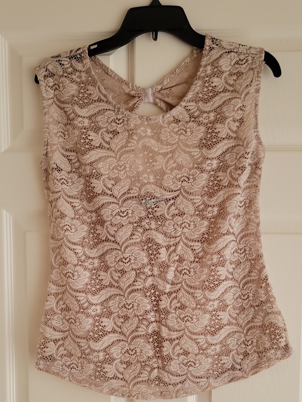 Lace Overlay Sleeveless Blouse— Blush